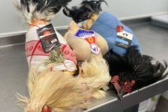 321099366_3197350230577364_3738018643826111254_n