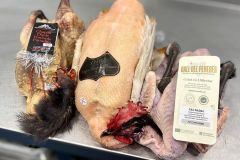 321150546_1029490258443742_4248326665261395289_n