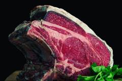 51828485_259703528283256_9124454018853541678_n